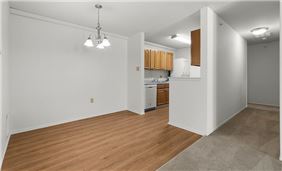 Spacious Dining Area