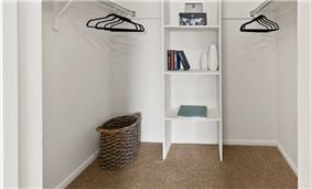 Walk-In Hall Closet