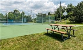 Basketball Court and Picnic Area