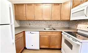Contemporary Kitchen Style
