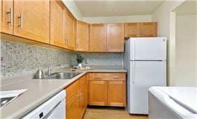 Contemporary Kitchen Style