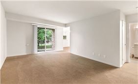 Spacious Living Room