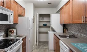 Contemporary Kitchen Style