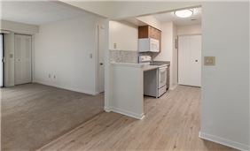 Open Concept Kitchen, Dining Area, and Living Room