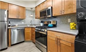 Contemporary Kitchen Style