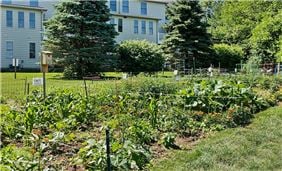 Community Garden Plots