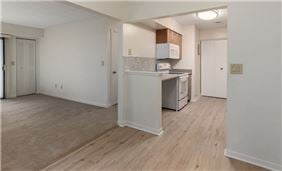 Open Concept Kitchen, Dining, and Living Room- Vinyl Plank Flooring Option