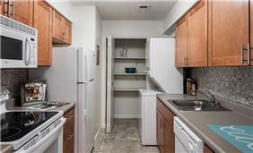 Contemporary Kitchen Style