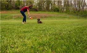 Off-Leash Bark Park