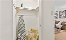 Walk-In Hall Closet