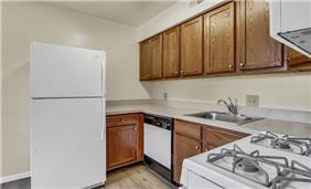 Classic Kitchen Style